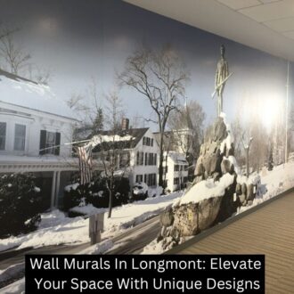 thumb of Wall Murals In Longmont: Elevate Your Space With Unique Designs