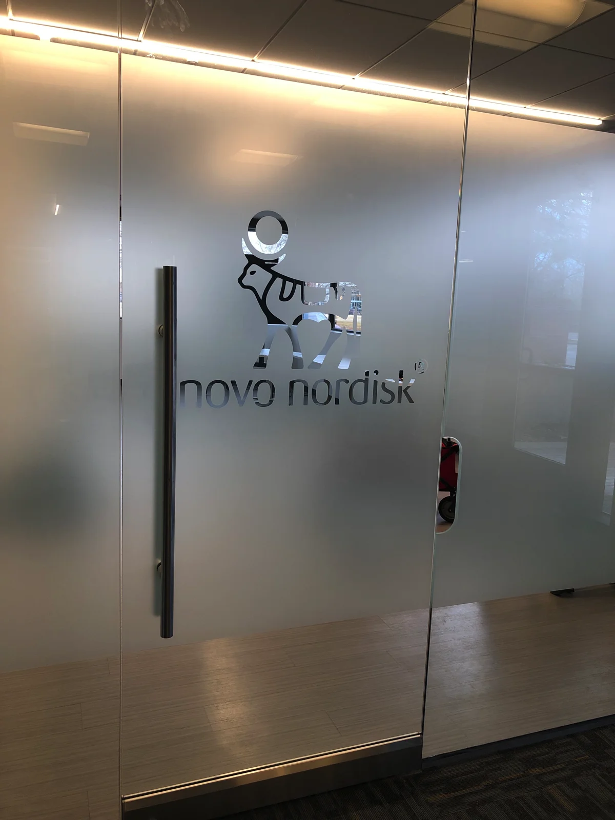 Logo & pattern cutouts — Window frost by 303 Sign Company